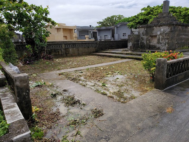 業務内容/施工実績 除草作業 after