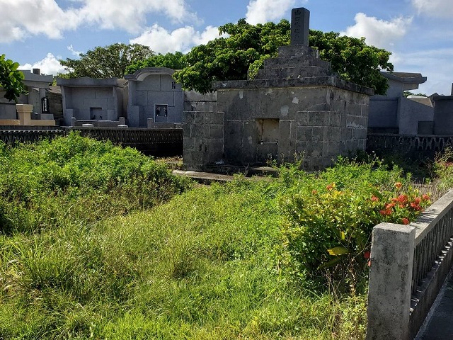 業務内容/施工実績 除草作業 before